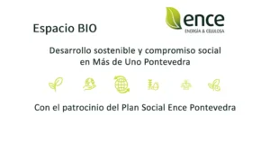 Forestales en Igualdad: Formación para la Equidad de Género en el Sector Forestal